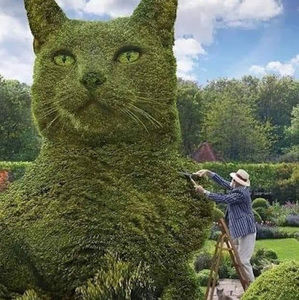 Meet your Posher, Austreberto